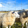 1.8m high sheep farm field goat fencing farm