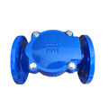 CFIC Ductile Iron Swing Check Valve