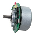 60V Brushless DC Motor, Outrunner Brushless DC Motor & Blender Motor Brushless Customizable