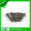 Pan Head Stainless Steel Self Tapping Screw