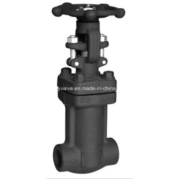 API 602 Forged Steel Bellow Sealed Gate Valve (WZ61Y-800LB-1-1/. 2")