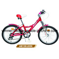 Alloy Child Bike 6 Speed (AB13N-2056)