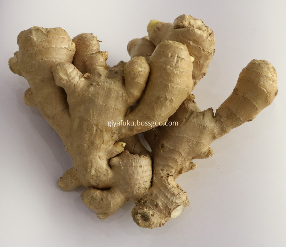 Fresh ginger 