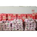 carton packing normal white garlic