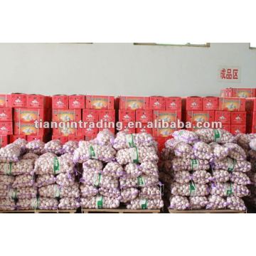 carton packing normal white garlic