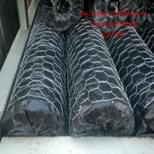 Farm Chcken Wire Mesh Hexagonal Wire Mesh in China Factory