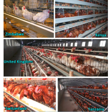 Chicken Cage System Poultry Farm Equipment