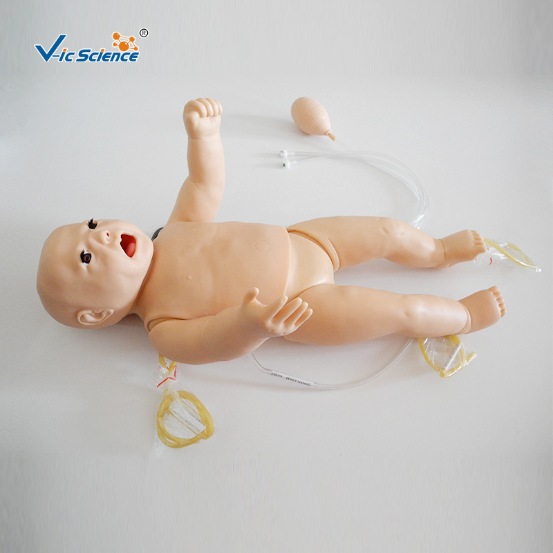 Acls Infant Training Manikin Model