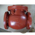 Cast Iron ANSI Check Valve