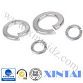 Flat Washer Spring Washer Tooth Washer All Washers