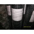 Hot Dipped Galvanized Chicken Wire Mesh für Vogel, Bauernhof