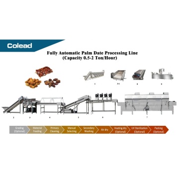 Palm Dates Processing Line for Arabian Dates