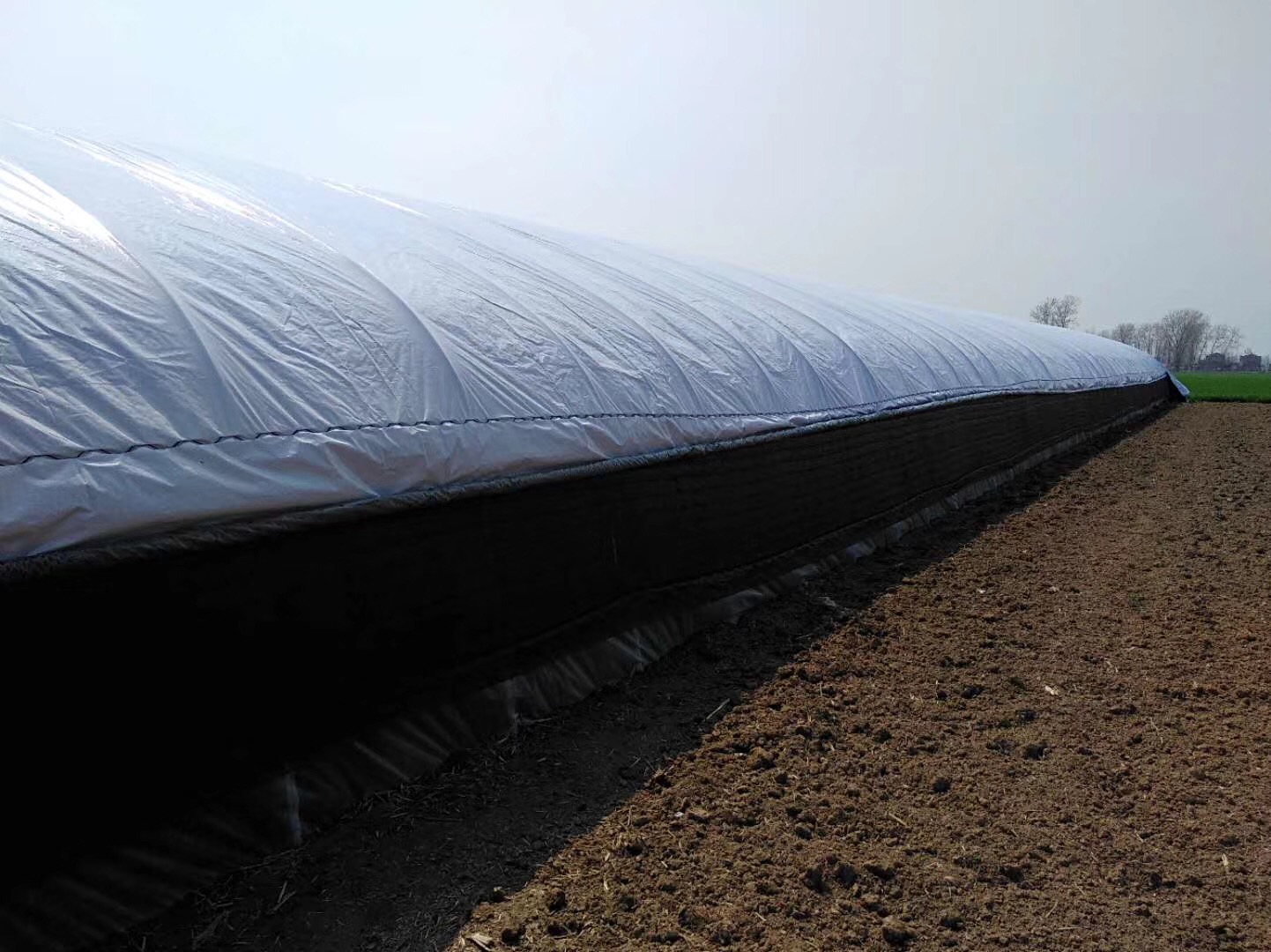 woven panda greenhouse covering