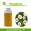 Pyrethrum-Extrakt 10:1 Pyrethrin 25% für Insektizide