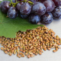 top quality grape seed extract