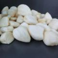 Nice white vacuum fried peeled garlic clove