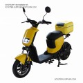 Mini Electric Scooter E-bike For Student