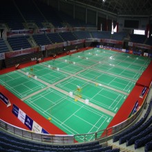 Sol de badminton approuvé BWF