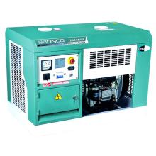 Portable Diesel Generator (BN12000DCE)