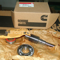 Genuine Parts CUMMINS Kit de reparación de la bomba de agua 3803153 en venta