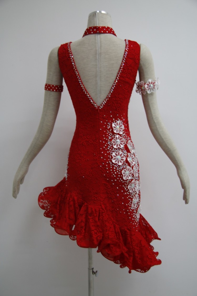 Fringe Latin Dance Dress