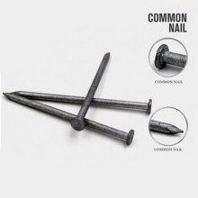 New Design Common Round Wire Nails with Nice Price