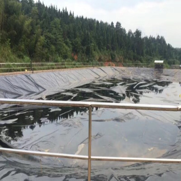 HDPE/LDPE Geomembrane for Prefabricated Vertical Drain