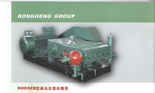 Reciprocating Plunger Pump