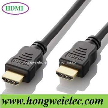 L'ordinateur branche un type à un câble HDMI mâle type