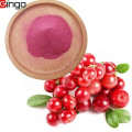 Fresh Fruit Cranberry Fruit Freeze Dried Powder