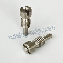 Customized OEM Non-Standard Stainless Steel Screw and Bolt