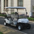 Chariots de golf Star de bonne qualité avec Off Road