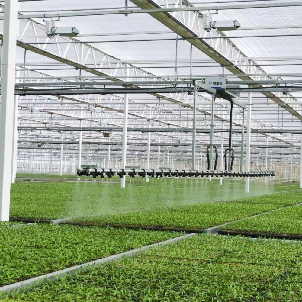 Arched PC Greenhouse Arched PC Greenhouse