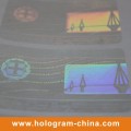 Transparent ID Card Hologram Overlay