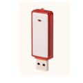 Euro Classic Plastic USB Flash disco