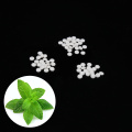 Stevia Tablet Wholesale Price Natural Sweetener / Stevia