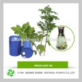 Best selling products natural blumea Oil