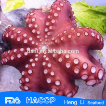 HL089 замороженный вареный осьминог обыкновенный с сертификацией HACCP