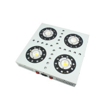 New Arrival 300/425/550W LED Grow Lights for Plants