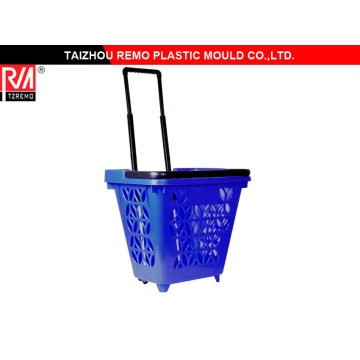 High Quality Plastic Trolley Mould (RMMOULD7100255)