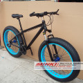 Suspension en alliage Fat Mountain Bikes 21 Vitesse