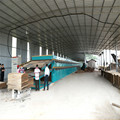 Plywood Core Veneer Dryer Equipments