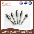 Cartucho de tungsteno de alta calidad Rotary Burrs Rotary File