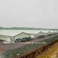 Light Steel Structure Poultry Farm Construction with All Prodution Equipment