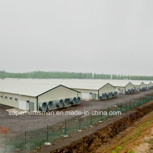 Construction légère de ferme de volaille de structure métallique avec tout l&#39;équipement de production