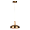 Lustre Moderne Home Decoration Living Room Pendant Lamp