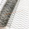 Galvanizada malha de arame hexagonal para armadilha de peixes