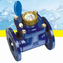 Flanged Horizontal Waltman Water Meter