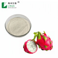 wholesale dragon fruit powder white pitaya fruit powder