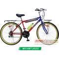 Steel Mountain Bicycle (MK14MT-26253)